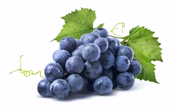 isabella_trauben.webp